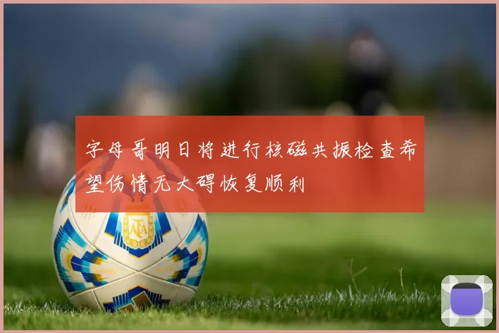 字母哥明日将进行核磁共振检查希望伤情无大碍恢复顺利