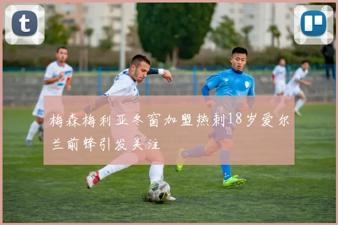 梅森梅利亚冬窗加盟热刺18岁爱尔兰前锋引发关注