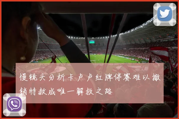 慢镜头分析卡卢卢红牌停赛难以撤销特赦成唯一解救之路