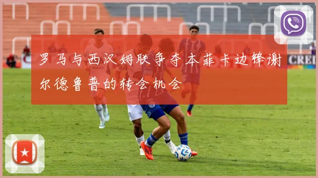 罗马与西汉姆联争夺本菲卡边锋谢尔德鲁普的转会机会